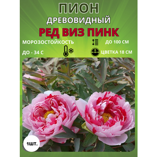 ���� ���� ��� ��� ���� 1 ��., ������ �� 650 ���