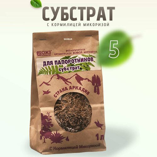 ���� �������� � ���������� ��� ����������� ������������ 5 ��, ������ �� 702 ���