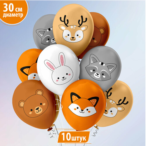 ���� ������ ��������� ��� ����� � �������� �������, �����, �����, ��������, ���� 