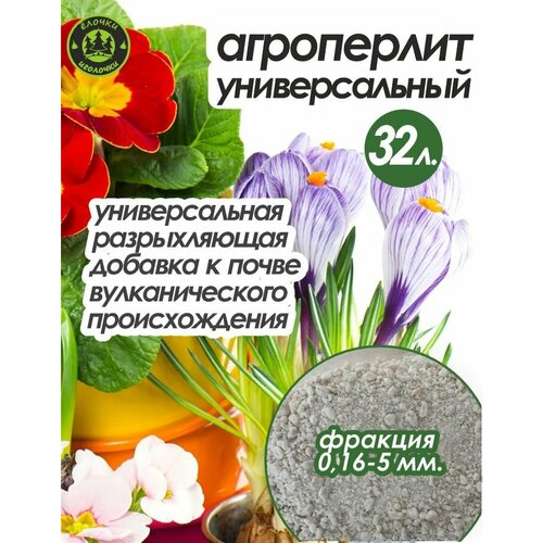 ���� ���������� ��� �������� � ������ 32 �����, ������ �� 1000 ���