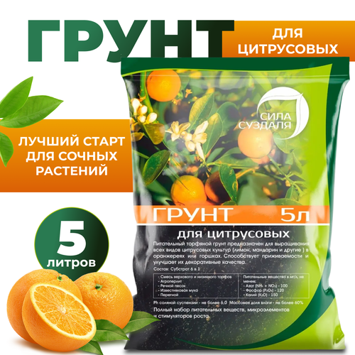 ���� ����� ���� ������� ��� ����������, 5 �, 3 ��, ������ �� 540 ���