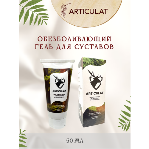 ���� ���� ���� �� ���� �������� � ������ ��������� 50 ��, ������ �� 590 ���