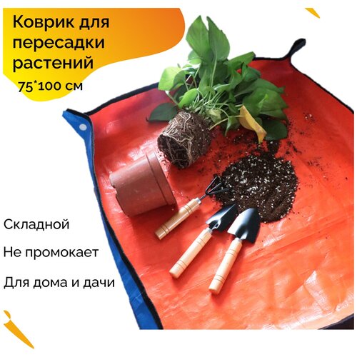 ���� ������ ��� ��������� �������� ����, �� ����, �� �������, ��������, �������, �����������, ��������, ������� ��������� 75*100 ��, 1 ��,, ������ �� 560 ���