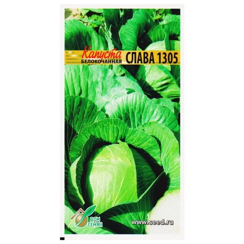 ���� ������� ������������ ����� 1305, 160 �����, ������ �� 228 ���