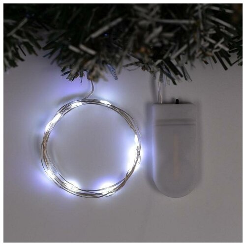 ���� �������� 