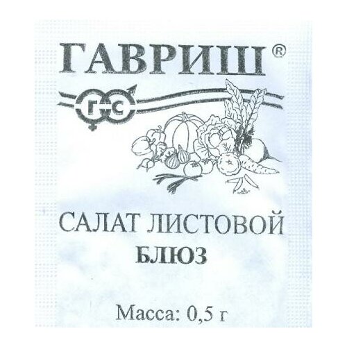 ���� ������. ����� �������� 