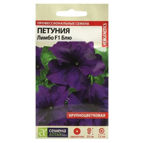 ���� ������ ������ ������� 