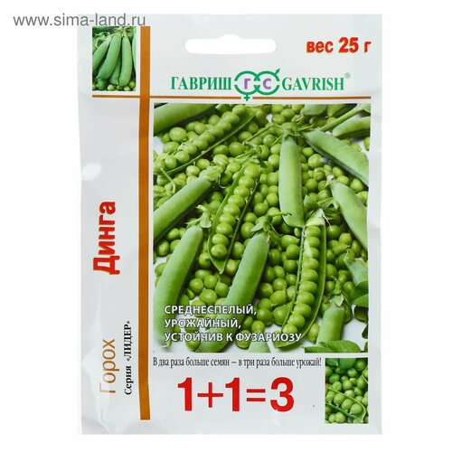 ���� ������ ����� 1-1 