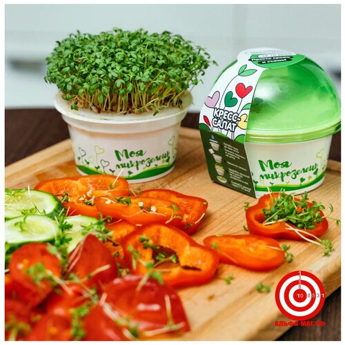 ���� ����� ��� ����������� �����������, ������ �� 380 ���