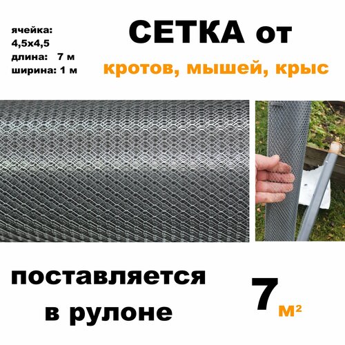    , , ,  : 7  : 1  : 4,54,5   .,   1900 