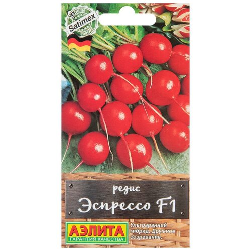 ���� ������. ����� 