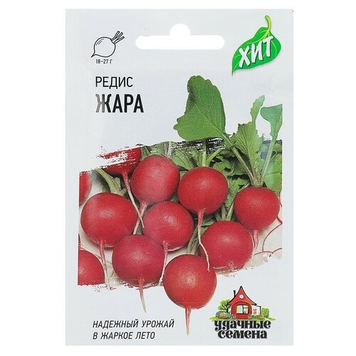 ���� ������ ����� 