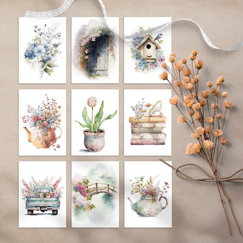 ���� ����� ���� ��������. 