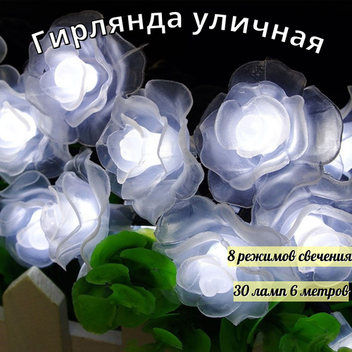 ���� ������������ �������� � ����� ���, ��������� ������� 30 ���� 6 ������, ������ �� 790 ���