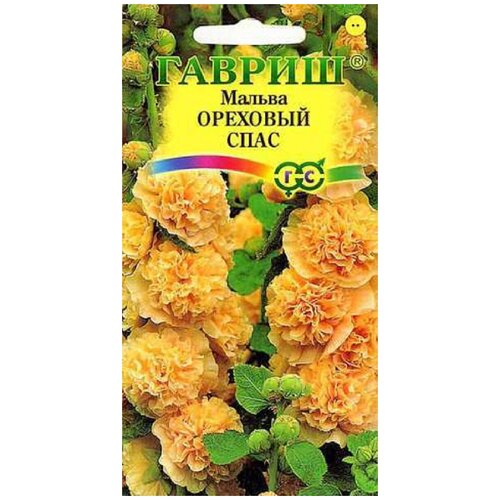 ���� ������. ������ 