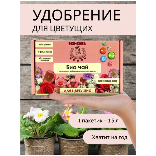 ���� ��� ���� ��������� ��� ��������� ������ ���-���, ������ �� 400 ���