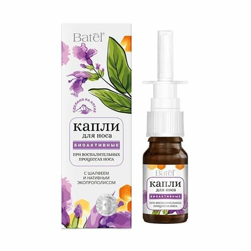 ���� ����� ��� ���� ����������� � ������� � ������������� Batel 10 ��, ������ �� 500 ���