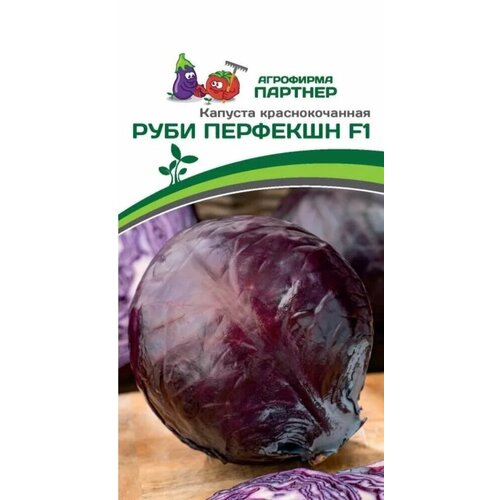 ���� ������ ������� �������������� ���� �������� F1 10�� ��� (�������), ������ �� 178 ���