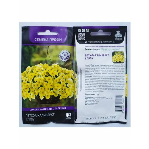 ���� ������ �������� ����� 5�� �����, ������ �� 349 ���