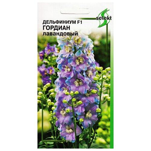 ���� ���������� F1 �������, ����������, 5 �����, ������ �� 333 ���