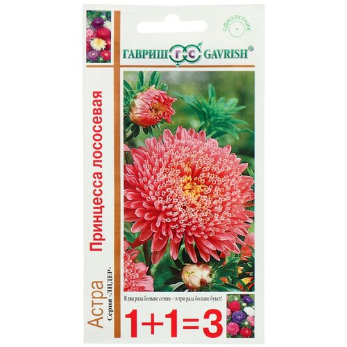 ���� ������ ������ ����� 1+1 