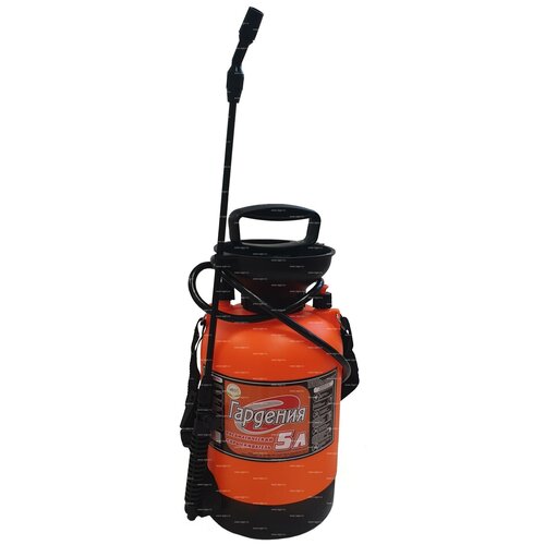 ���� ������������� ������ 