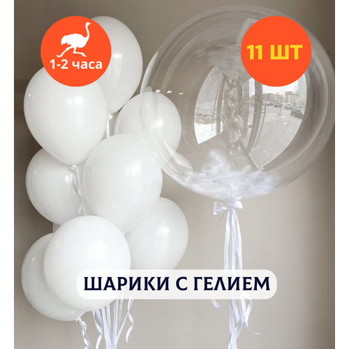 ���� ������ ��������� �� ���� ��������, ��������� ���� � ������, ���� � ���� ��������, ����� ����� ��� ������� 