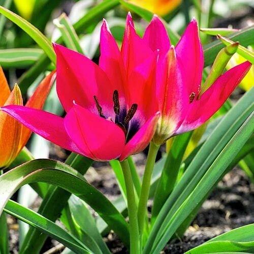 ���� ������� ������������ ����� ����� (10 ����) / ���������� �����, ������ �� 449 ���