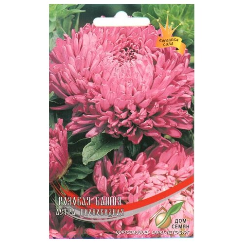 ���� ����� ����������� ������� �����, 90 �����, ������ �� 239 ���