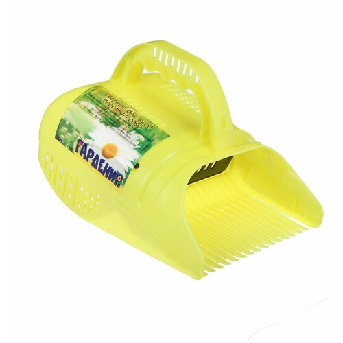 ���� ������� ��� ���� � ���������, ������ �� 330 ���