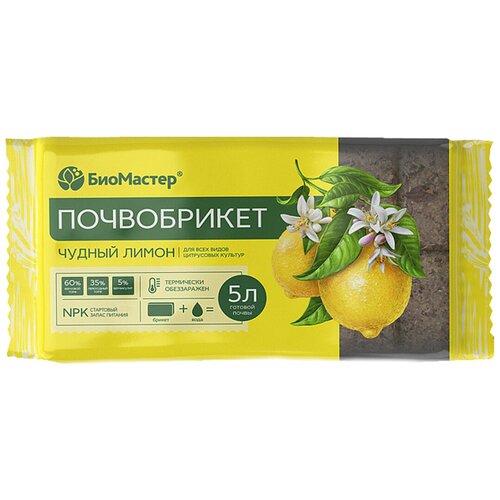 ���� ����������� 