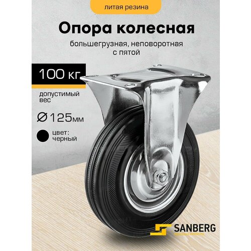 ���� ������ 