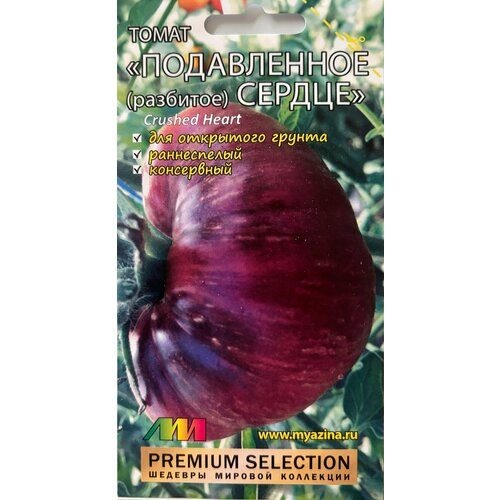 ���� ������ ������ 