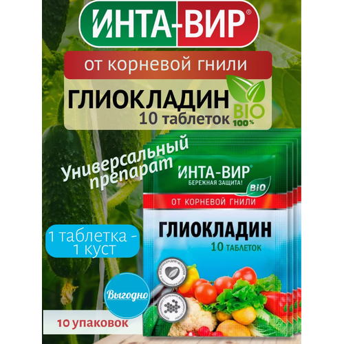 ���� �������� ���������� �� �������� ����� �������� ��� (10��������) 10 ����, ������ �� 632 ���