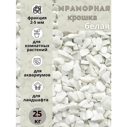 ���� ��������� ������ ����� ������� 2-5�� (25�� ) ����� ����������� ��� ��������� � ������� ��������, ������ �� 1295 ���