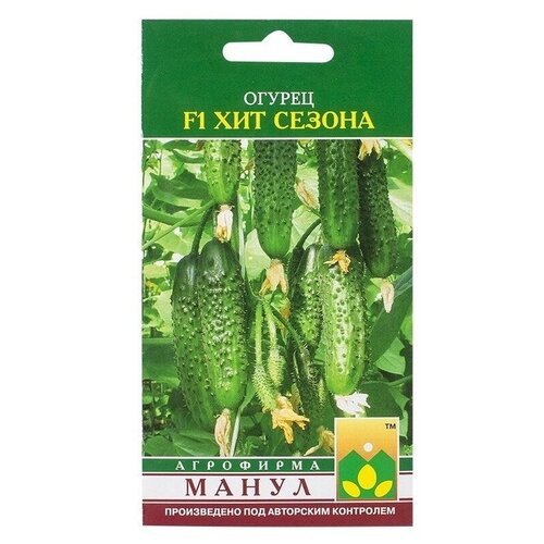 ���� ������ ����� 