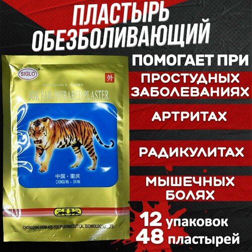 ���� �������� �������������� ���������, �� �������� ������, �������� ������������� �� ���� � ����� � ��������, ��������, 12 �������� 48 ����, ������ �� 999 ���