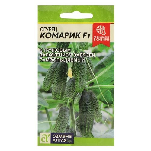 ���� ������ ������ ����� ������ ������� F1 6 ��., ������ �� 127 ���