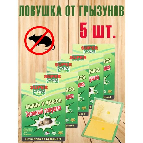 ���� ������� ��������� ������� �� ���� � �����, ������ �� 496 ���