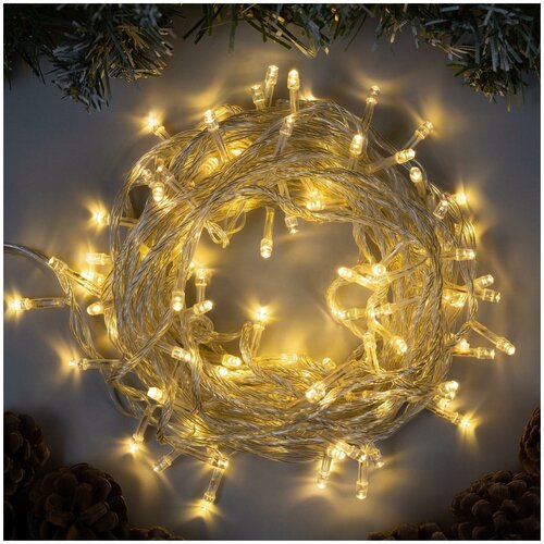 ���� �������� ������ 10 �, IP20, ���������� ����, 100 LED, �������� ����� �����, 8 �������, 220 �, ������ �� 424 ���