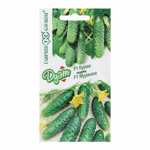 ���� ������ ������ 