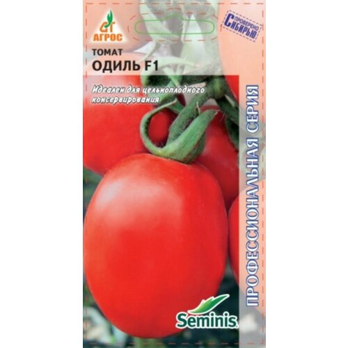 ���� ������ ����� ����� 10�� ��� ������ (�����), ������ �� 48 ���