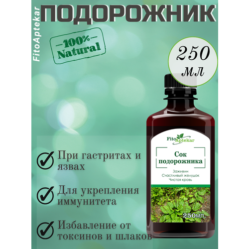 ���� ��� �����������, 250�� ���� ��������, ������ �� 827 ���