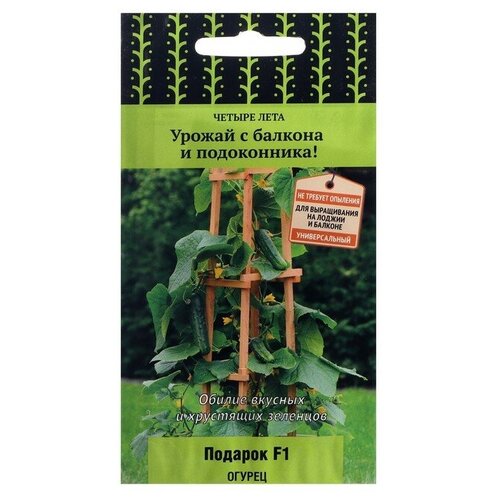 ���� ������ ������ 