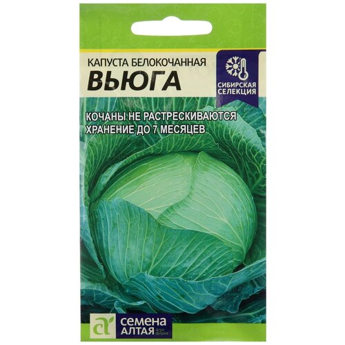 ���� ������ ������� 