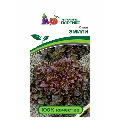 ���� ������ ����� �������� ����� (1�) - �������, ������ �� 272 ���