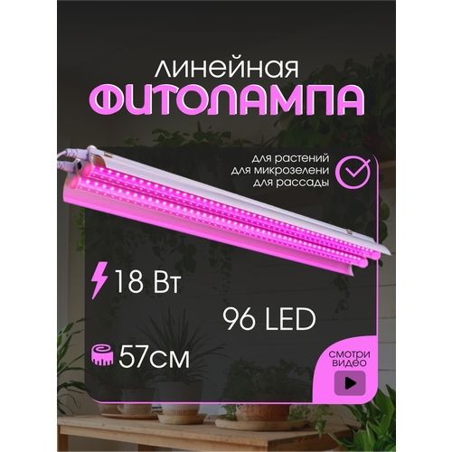 ���� ��������� �������� ��� ����������� �������� ������� Led �������������� ������ ������ ����� ��� ������ ������������, ������ �� 1907 ���