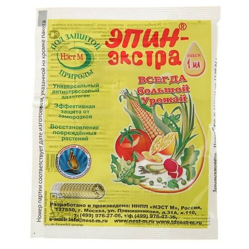 ���� ���� � ��������� �����, ��������� ����-������ 1��, ������ �� 70 ���