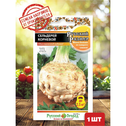 ���� ��������� �������� ������� ������, ������ �� 197 ���