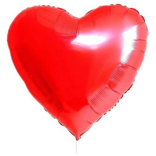 ���� ��� �������������� 32